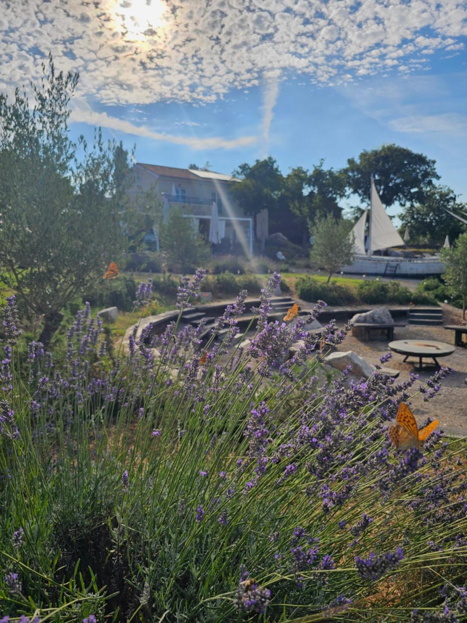 Boutique Resort Osma - Adults Only Malinska Exterior photo