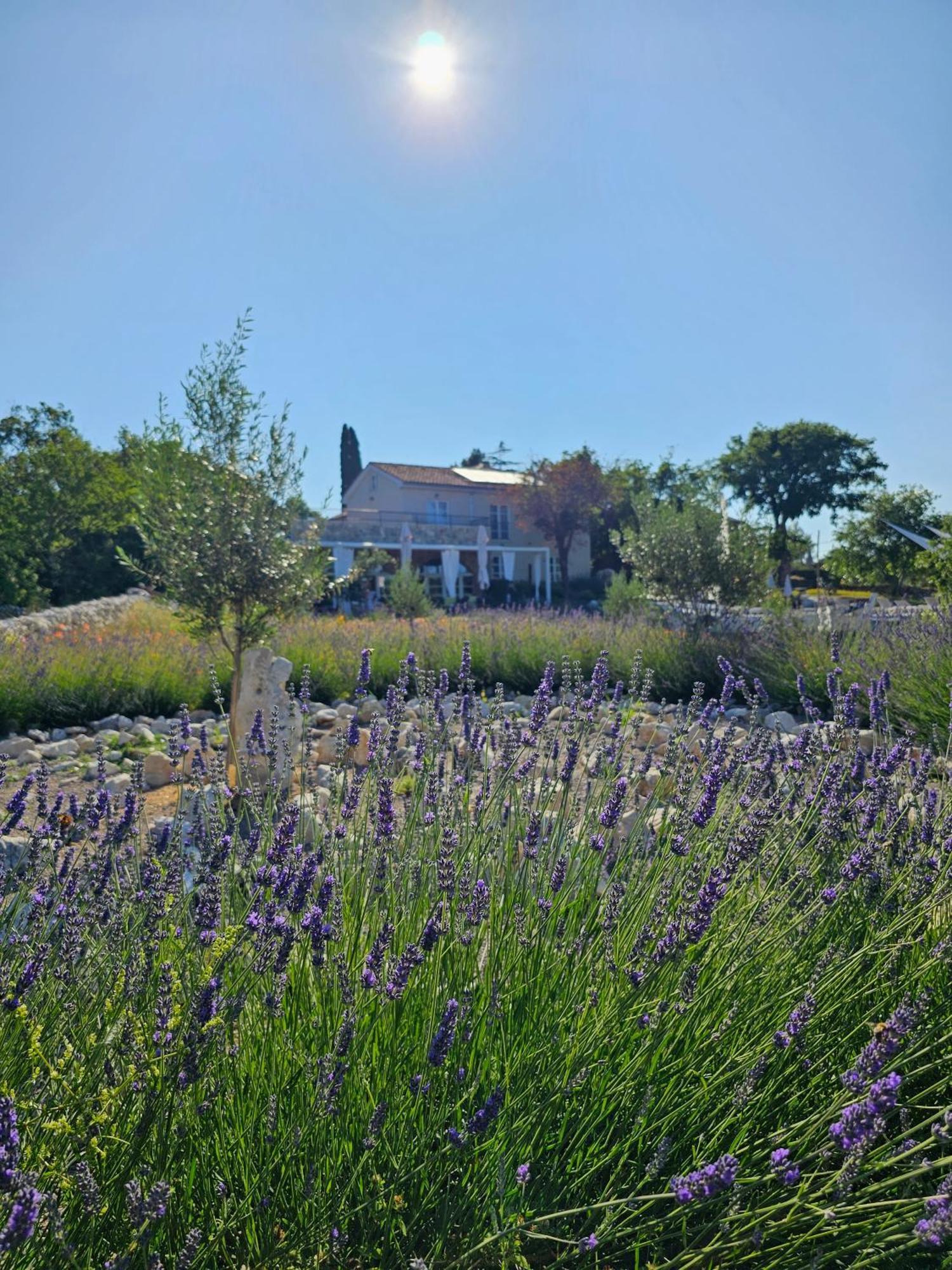Boutique Resort Osma - Adults Only Malinska Exterior photo